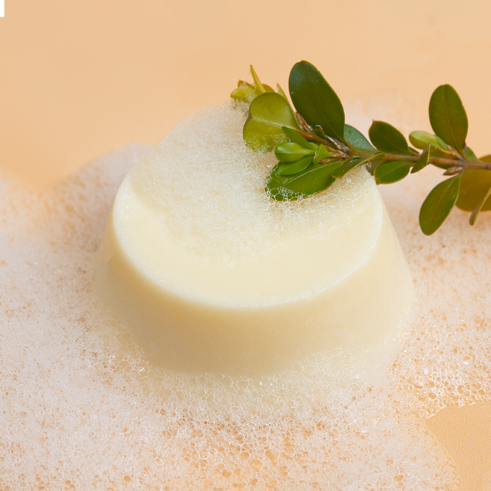 Curly Secret Conditioner Bar 60g