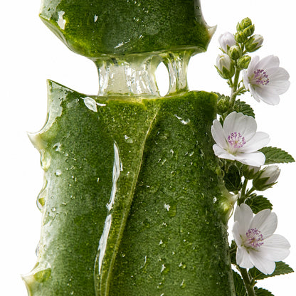 Inahsi Naturals Moisture Supreme Fragrance-Free Leave-In Mist