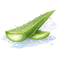 Mit Aloe Vera